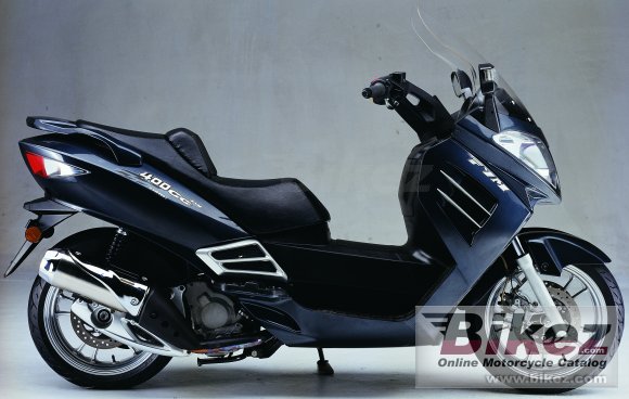 2008 Sachs FYM 400 photo